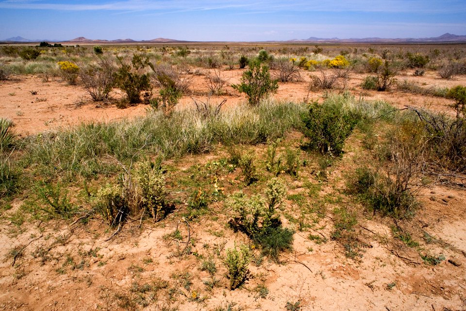 East-northeast of Animas
