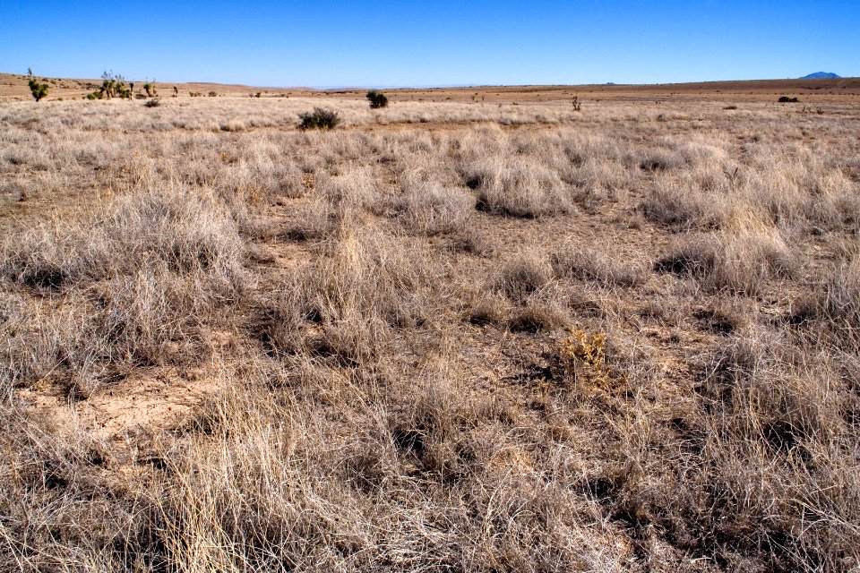 Southwestern Otero Mesa