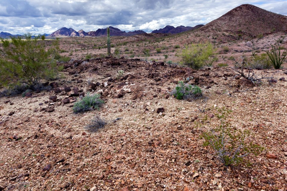 Northeastern Castle Dome Mountains