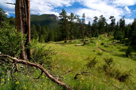 Crosier Mountain Trail