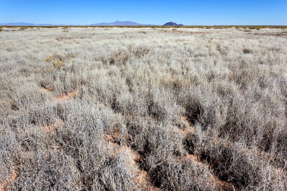 Plains west of Deming