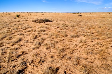 Southwestern Otero Mesa