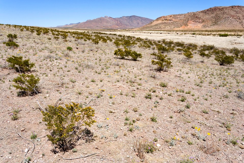 Near Goat Ridge