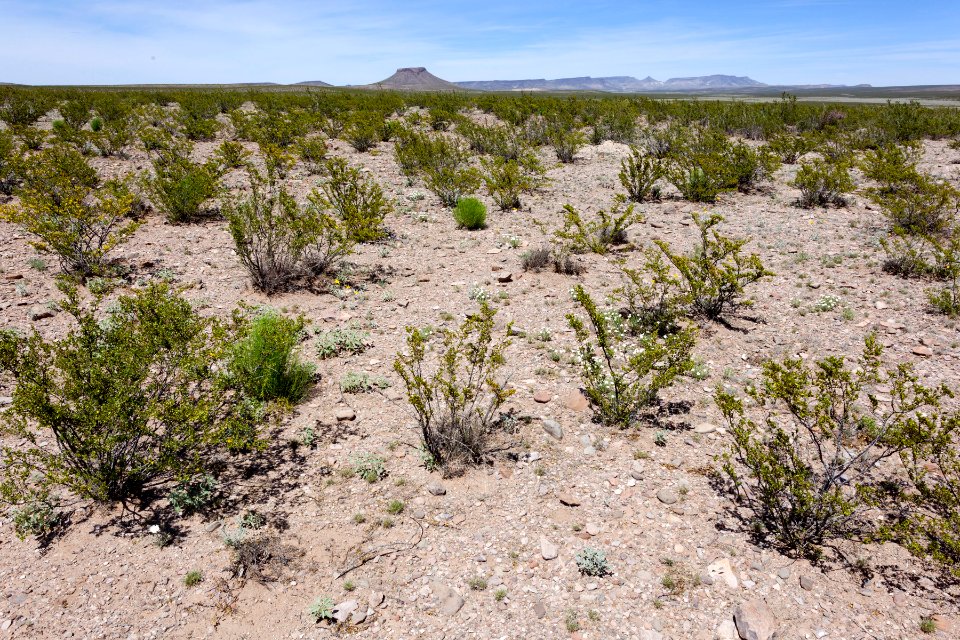 South of Massacre Peak