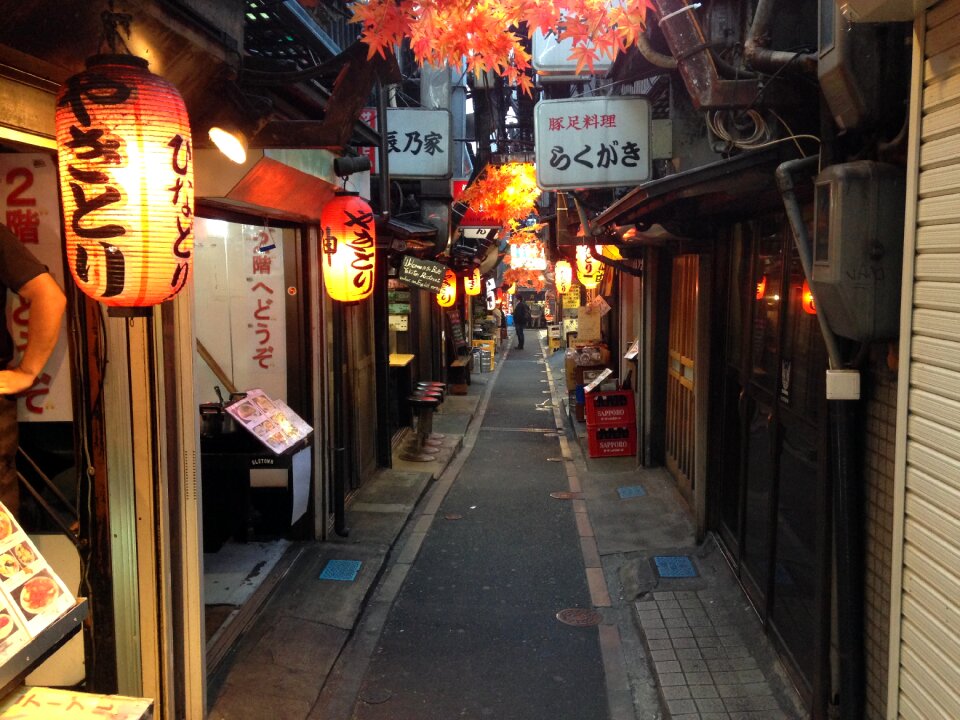 Food japanese culture