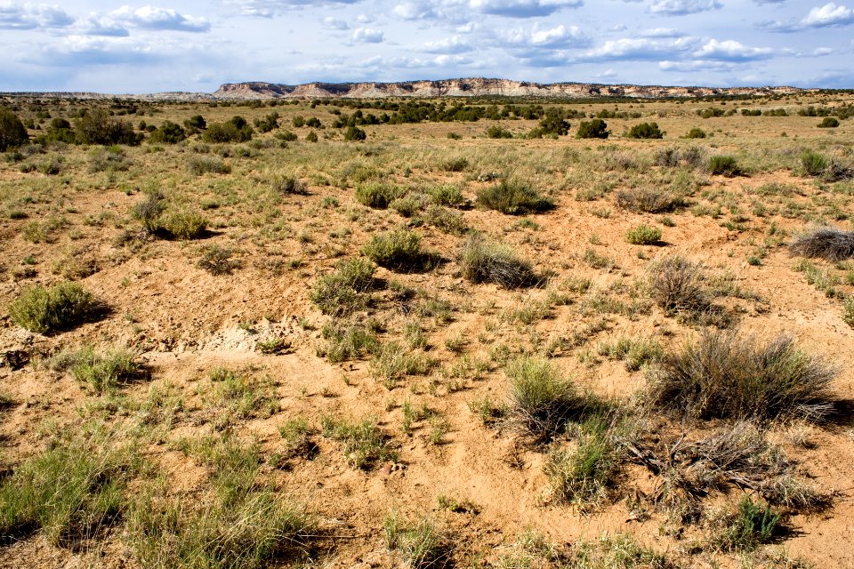 Near Coolidge Arroyo