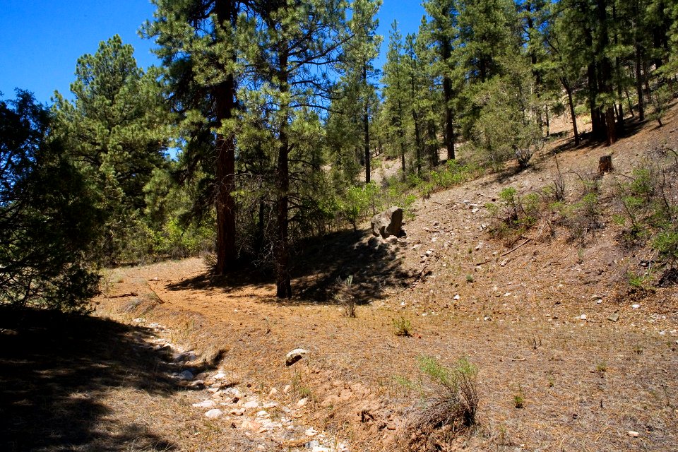 Borracho Ranger Station