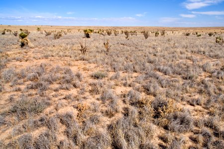 Southwestern Otero Mesa