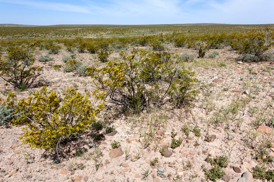 Northeast of Flat Hill
