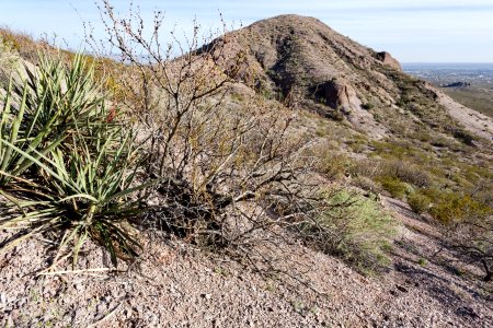 Southeastern Doña Ana Mountains