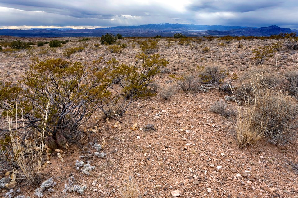 Quebradas Backcountry Byway