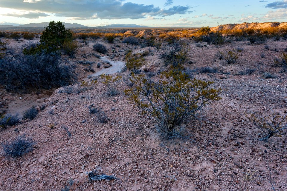 East side of Rincon Arroyo