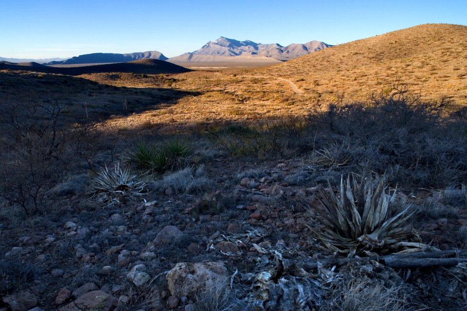 North side of the Alamo Hueco Mountains