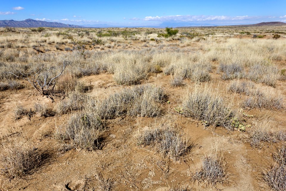 Near Ash Canyon