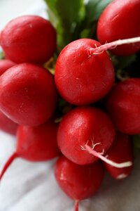 Radishes vegetables red photo