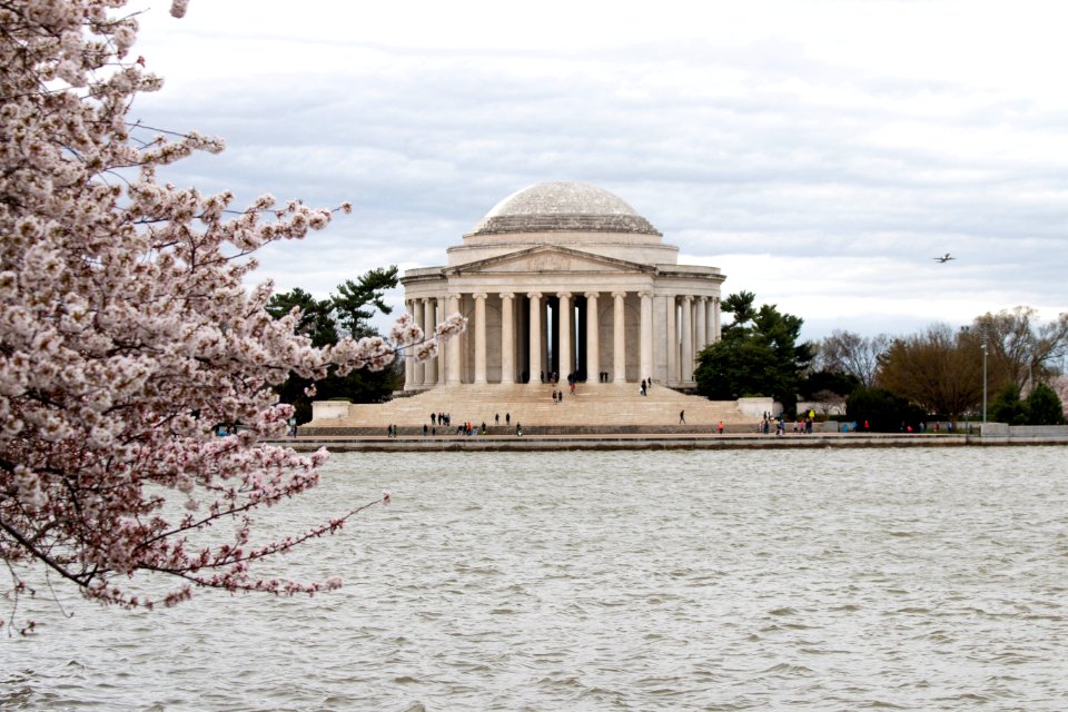 CherryBlossomDC2019-16.jpg