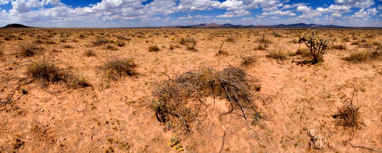 Northeast bajada of the Apache Hills