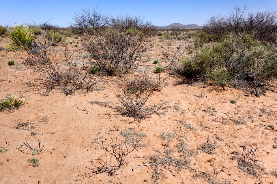East-northeast of Eagle Nest