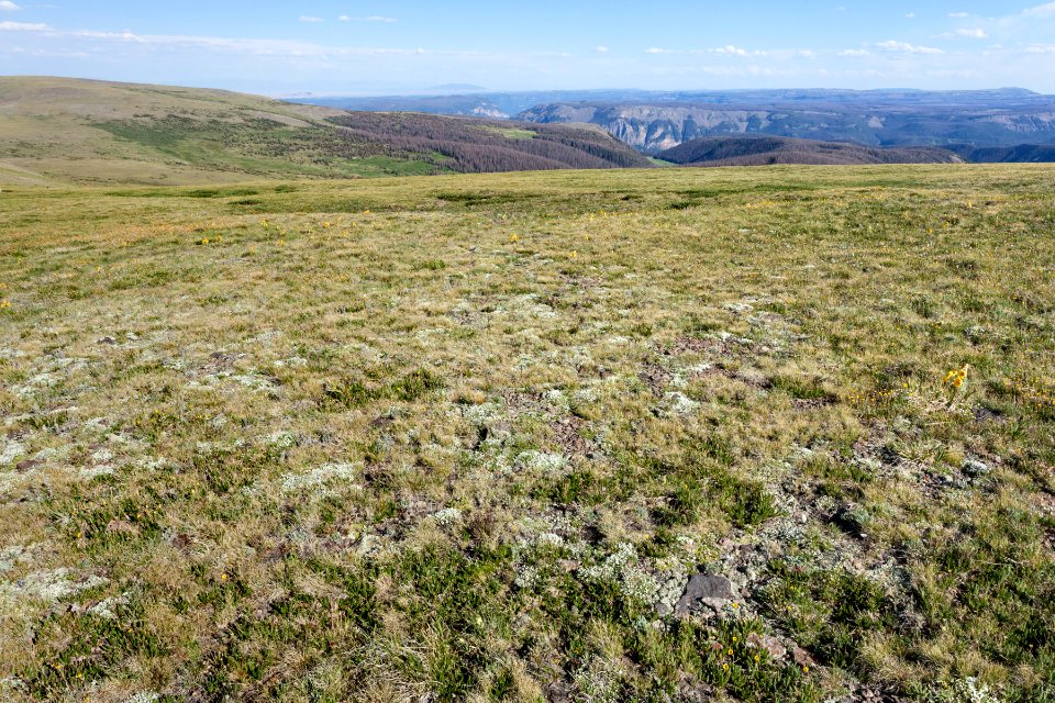 East-southeast of Conejos Peak