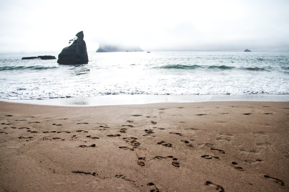 Sea beach beach sand