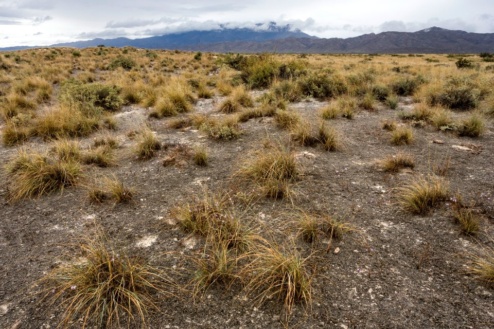 Salt Basin