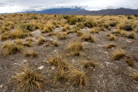 Salt Basin