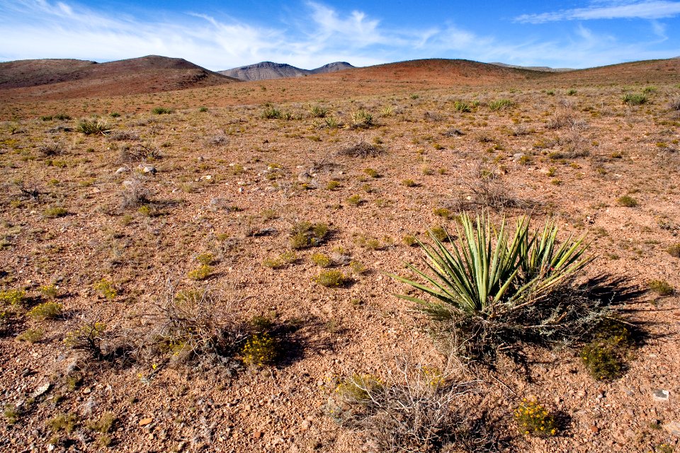 East side of the Caballo Mountains
