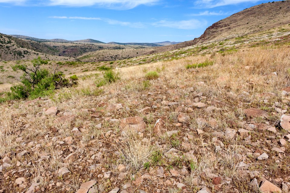 Near Sycamore Canyon