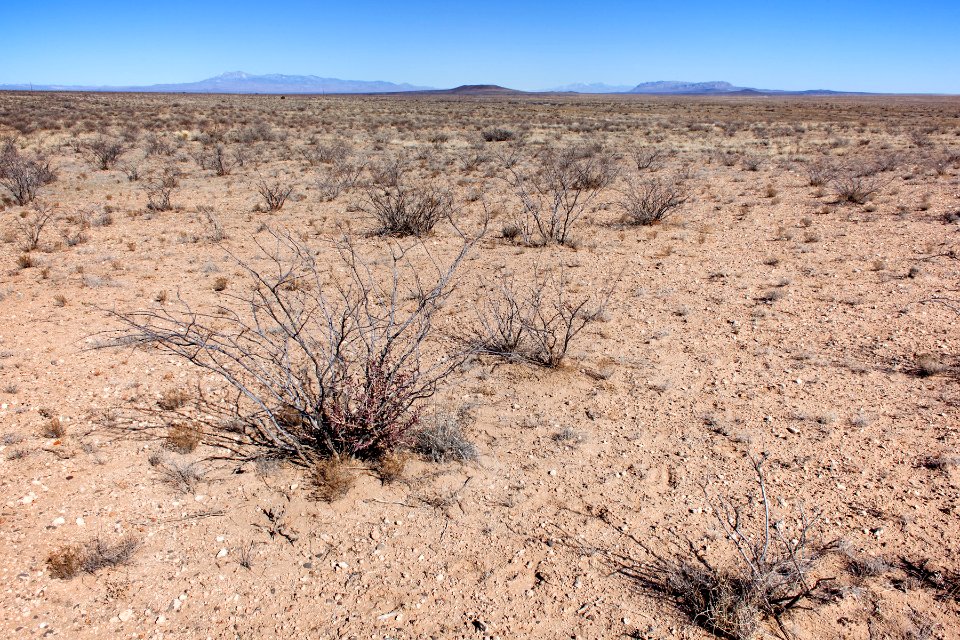 Jornada del Muerto Plain about 9 miles southeast of Truth or Consequences