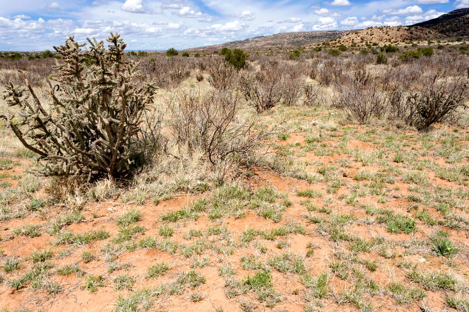 Near La Manga Creek