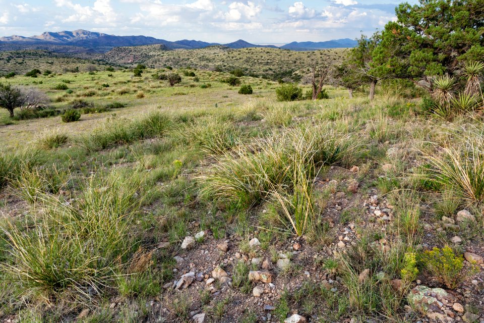 East of Owl Canyon