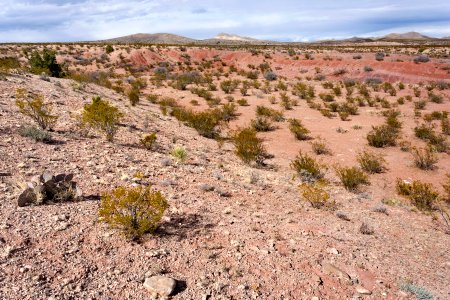 Quebradas Backcountry Byway