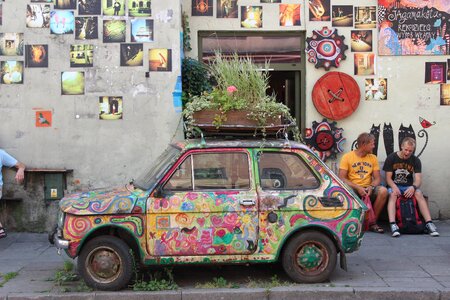 Historic cars flower bed plants