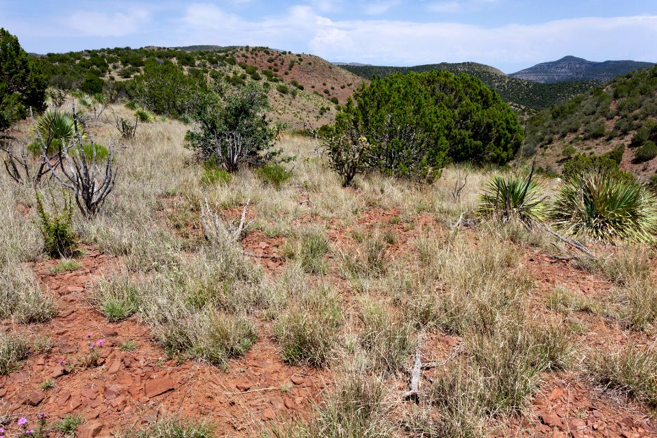 Near Rosebud Flat