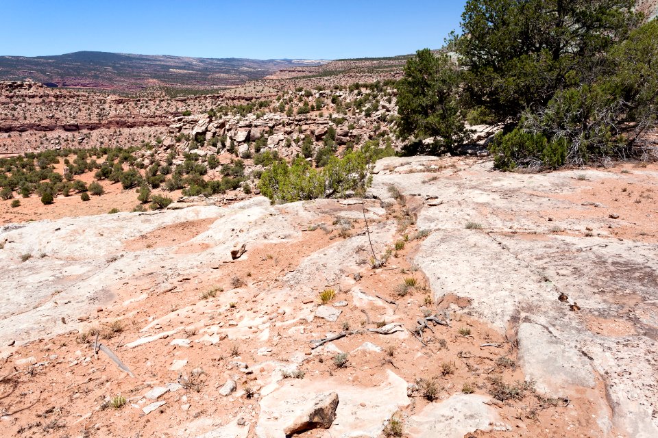 Near the Dolores River
