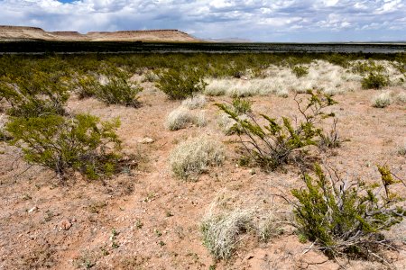 Near Apache Flats