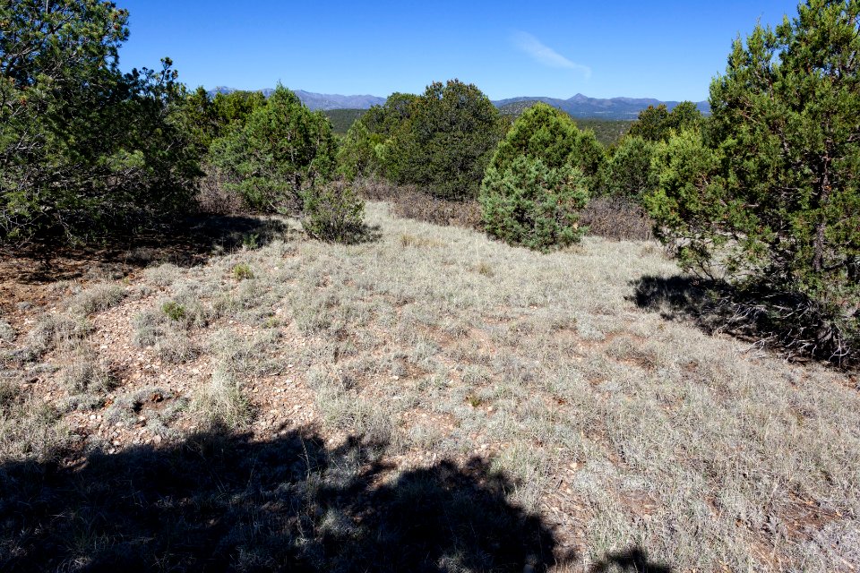 West of Ft. Stanton