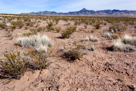 East-southeast of Taylor Mountain