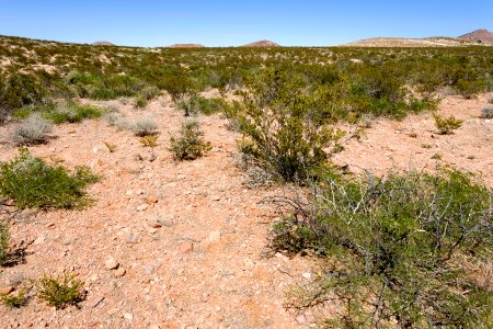 South of Beacon Hill