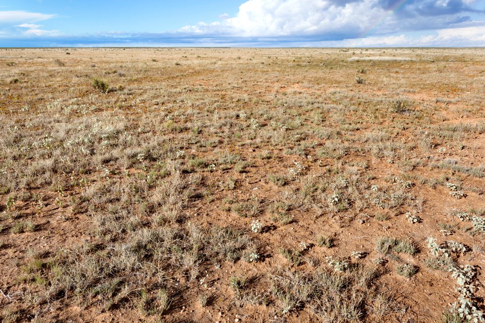 Otero Mesa