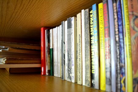 Novel shelf bookshelf photo