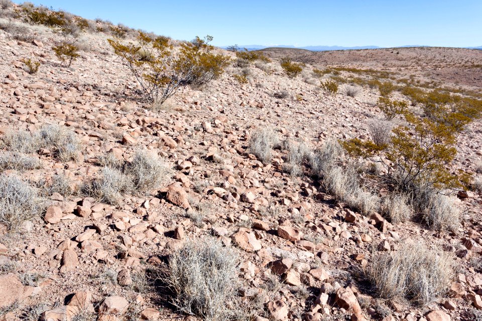 Eastern Sierra de las Uvas