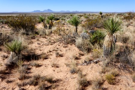 Eastern Otero Mesa