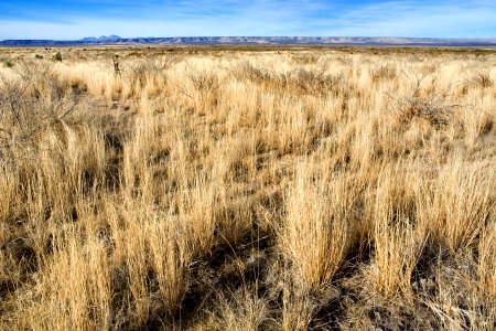 Near Box Canyon
