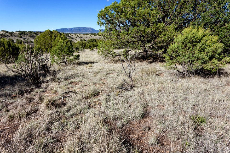 West of Ft. Stanton