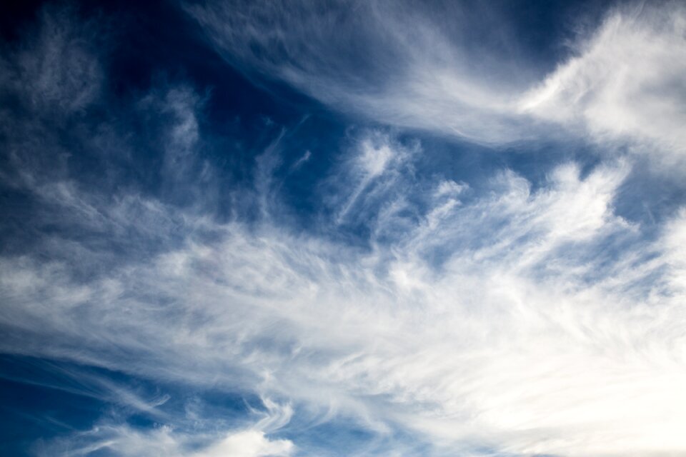 Beautiful blue white