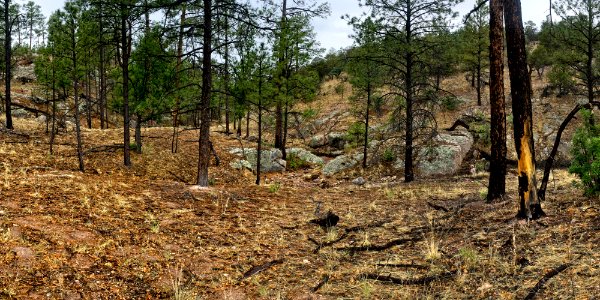Continental Divide Trail