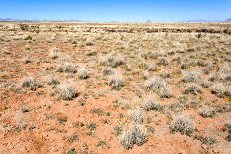 Near Chandler Draw