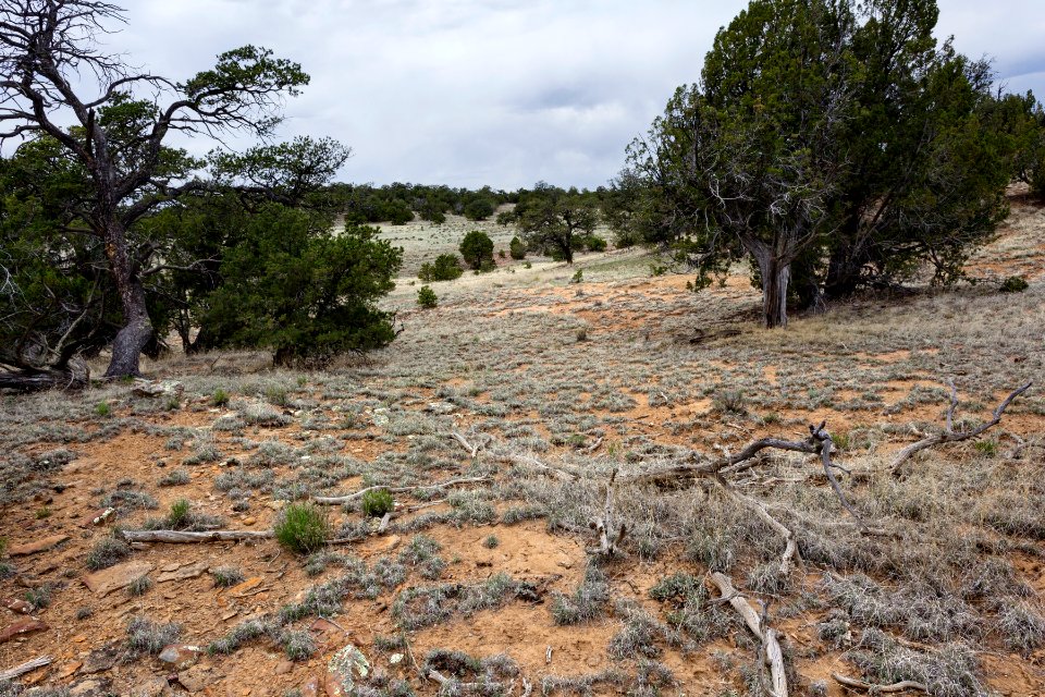 Near Ox Spring Canyon