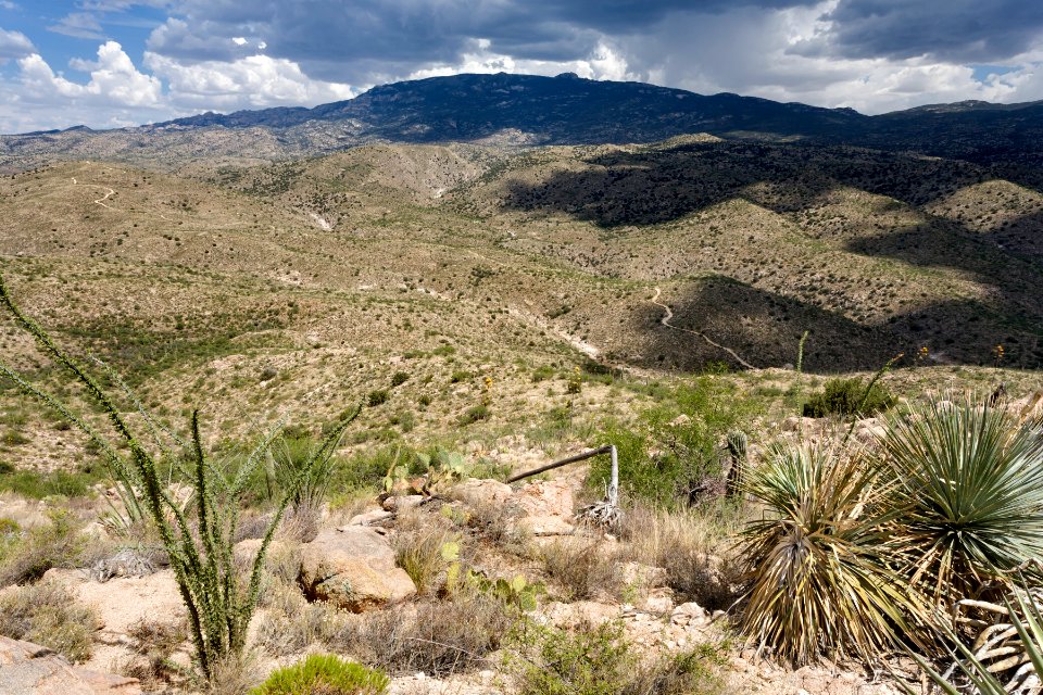 Near Tanque Verde